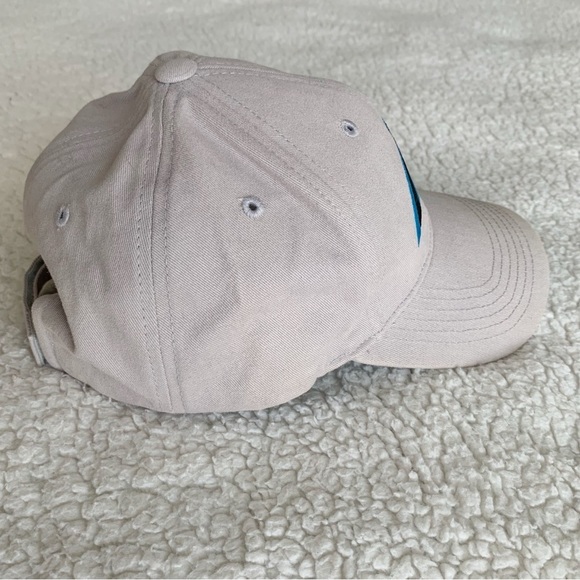 Carolina Panthers NFL Ball Cap Gray Logo Adjustable Hat Football Sports - Picture 4 of 9